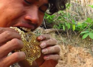 eating raw honey as food