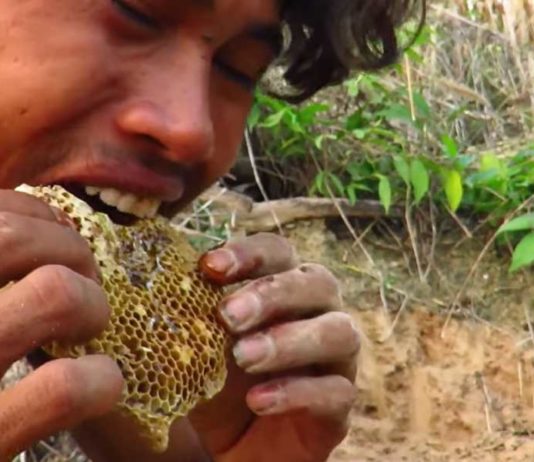 eating raw honey as food