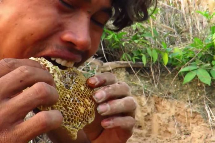 eating raw honey as food