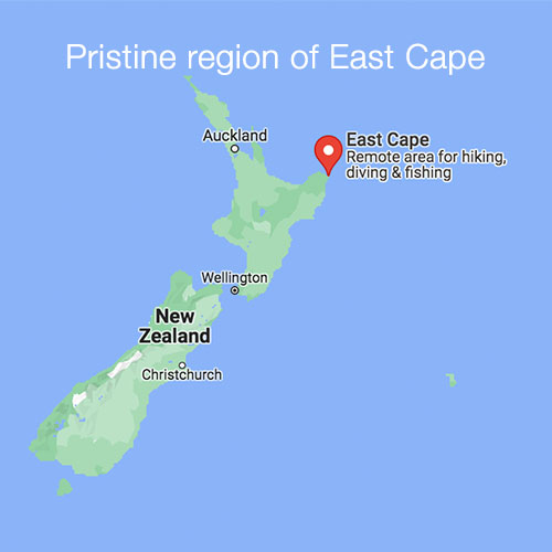NZ East Cape is a pristine region for pure Manuka oil